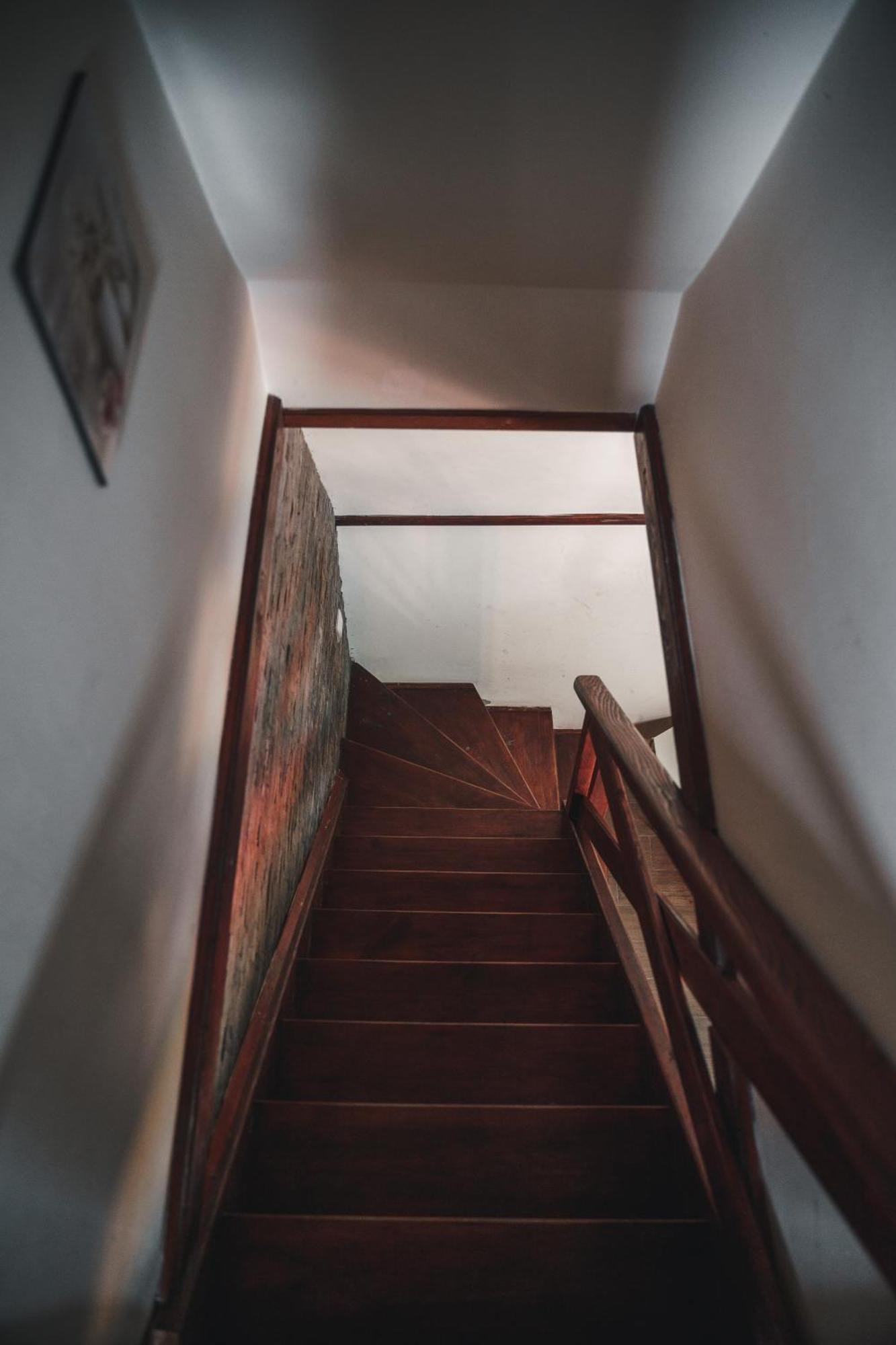 Viola I Detelina Apartments ペルチャツ エクステリア 写真