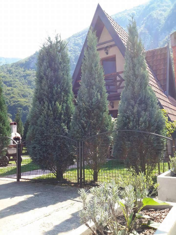 Viola I Detelina Apartments ペルチャツ エクステリア 写真